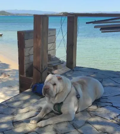 Private Seafront House In With Amazing View Of Diaporos Island Holiday home